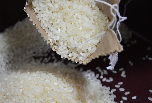 賞味期限 古米 玄米 白米
