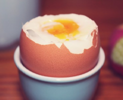賞味期限 手作り 自家製 煮卵