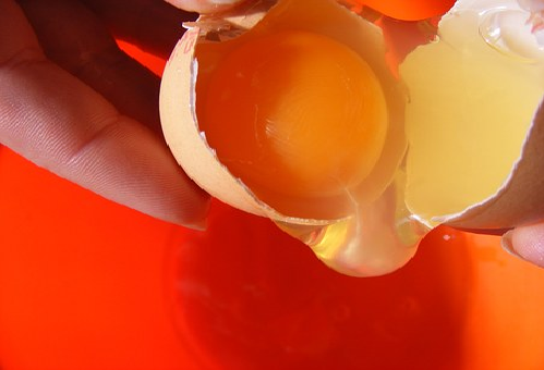 賞味期限 卵黄 冷凍 保存